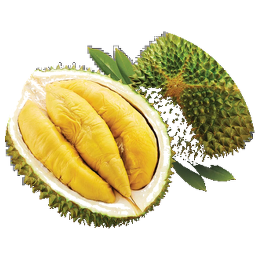 猫山王 Musang King D197 — 马来西亚榴莲品种